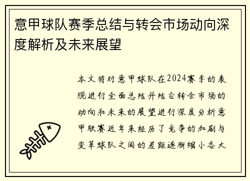 意甲球队赛季总结与转会市场动向深度解析及未来展望