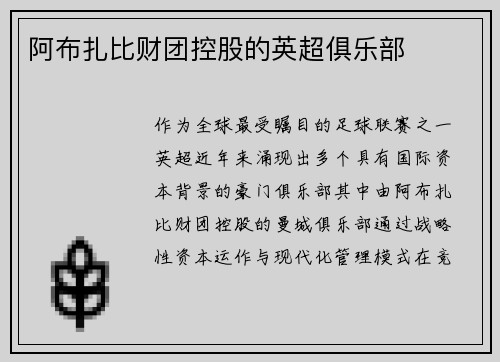 阿布扎比财团控股的英超俱乐部