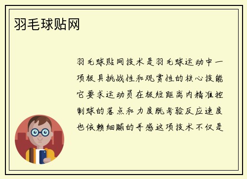 羽毛球贴网